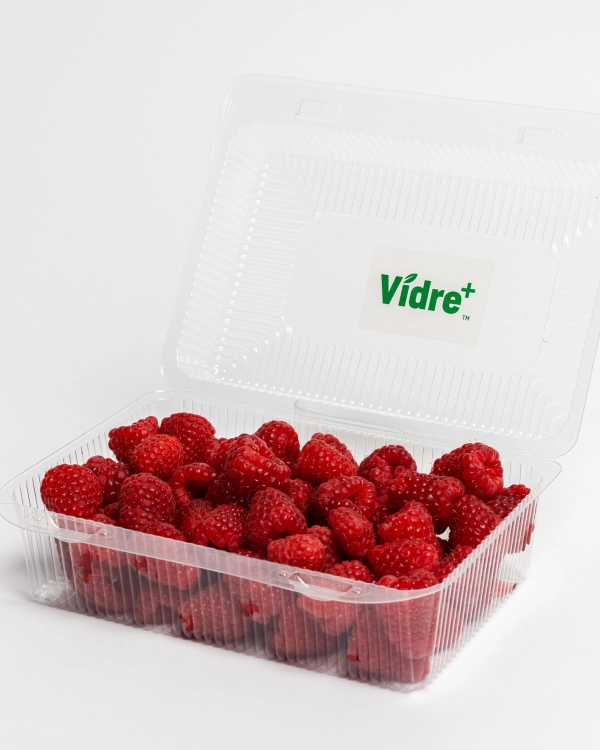 Fresh Inset – owoce i warzywa chronione technologią Vidre+