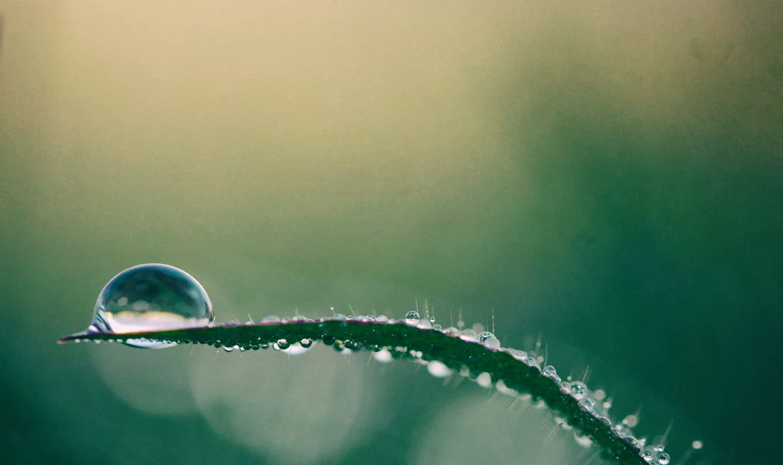 Natura — zdjęcie główne artykułu o pomiarze impaktu
